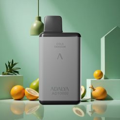 ADALYA AD Grigio Spaziale 10000 Puffs wholesale Italia con Ricarica USB-C e Liquido Originale 14 ml