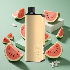 Anguria Ghiaccio Alibarbar Ingot 9000 Puffs wholesale Italia 22ml Capacità E-liquid 2350mah Batteria