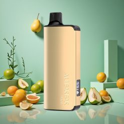 Fanta Italiana Alibarbar Ingot 9000 Puffs con capacità di liquido da 22ml wholesale Italia Non Ricaricabile