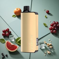 Ghiaccio Uva Alibarbar Ingot 9000 Puffs wholesale Italia 22ml Capacità E-liquid 2350mah Batteria