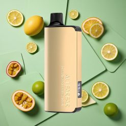 Mango Passione Lime Alibarbar Ingot 9000 Puffs wholesale Italia 22ml Capacità Liquido 2350mAh Batteria