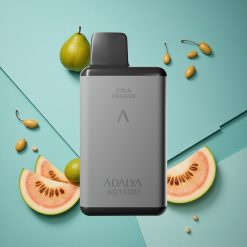Melone Blu Adalya AD 10000 Puffs Sigaretta Elettronica Monouso Ricaricabile USB-C wholesale Italia Space Gray