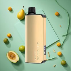 Menta Fresca Alibarbar Ingot 9000 Puffs Display LED wholesale Italia Capacità E-liquid 22ml