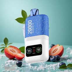 Mirtillo Ghiaccio Aivono AIM MAGIC Fino a 20000 Puffs wholesale Italia Ricaricabile Tipo-C