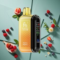 Mirtillo Lampone Fumot Tornado 20000 Puffs wholesale Italia Dual Mesh Coil