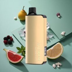 Mora Ghiacciata Alibarbar Ingot 9000 Puffs wholesale Italia 22ml Capacità E-liquid 2350mAh Batteria