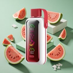 Anguria Ghiaccio VOZOL Star 20000 Puffs Dual Mesh wholesale Italia 2.2" Schermo HD a specchio