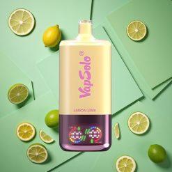 Limonata Lime VapSolo Triple 30000 Puffs E-Liquid 40ml wholesale Italia Carica Type-C