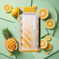 Mango Ananas Pompelmo VOZOL Gear Power 20000 Puffs ECO Mode 20000 Puffs wholesale Italia Dual Mesh Coil Full Screen Display
