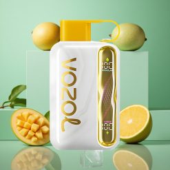 Mango Ghiaccio VOZOL STAR 40000 Puffs Sigaretta Elettronica Monouso 1000mAh wholesale Italia Tipo-C