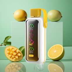 Mango Ghiaccio VOZOL Star 20000 Puffs Schermo HD 2.2" Dual Mesh wholesale Italia