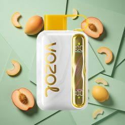 Mango Pesca VOZOL STAR 40000 Puffs Sigaretta Elettronica Monouso con Batteria da 1000mAh wholesale Italia