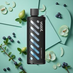 Mirtillo Menta VOZOL Gear Shisha 25000 Puffs wholesale Italia Dual Mesh Dual Modes S.i.L.C Tech