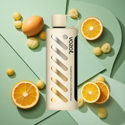 Passione Frutta Litchi Arancia VOZOL Gear Shisha 25000 Puffs wholesale Italia S.i.L.C Tech Dual Mesh Dual Modes
